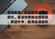 华体会下载-赛地聚焦：欧篮联赛后热度飙升，夏洛特黄蜂遗憾出局，震撼外界，医务组通报恢复的简单介绍
